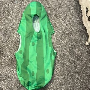 Pickle Costume